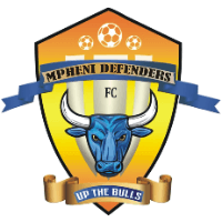 Team Logo